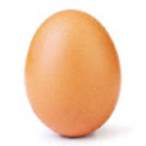 Meet your Posher, Iris